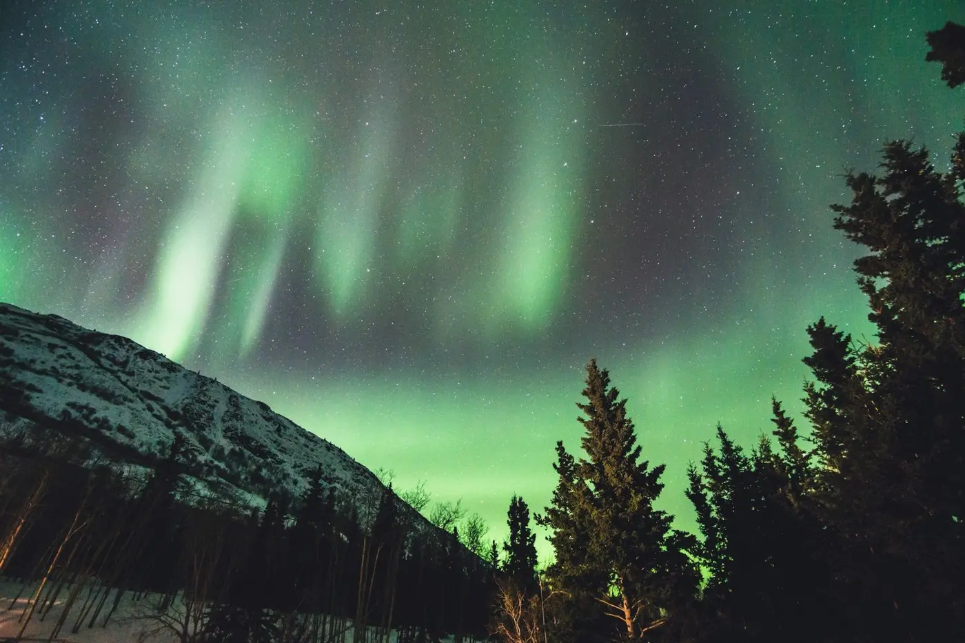 A Midnight Journey Under the Northern Lights